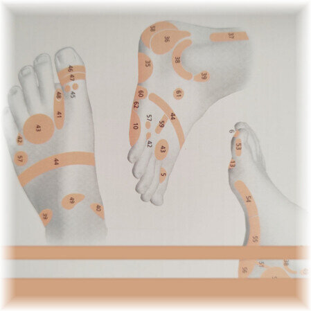 Massaggio Thailandese ai Piedi - Thai Foot Massaggio Thailandese ai Piedi - Thai Foot